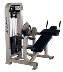 Life fitness Pro2 Ab Crunch (silver / purple)